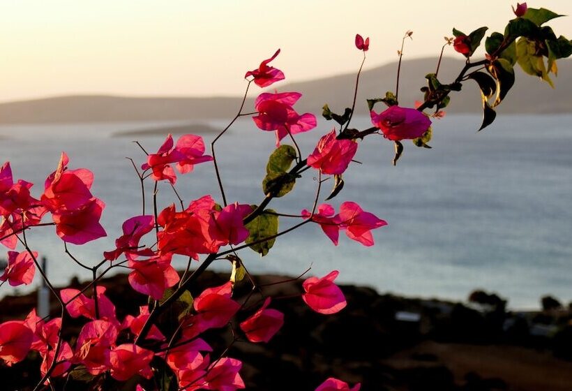 호텔 Castri Village