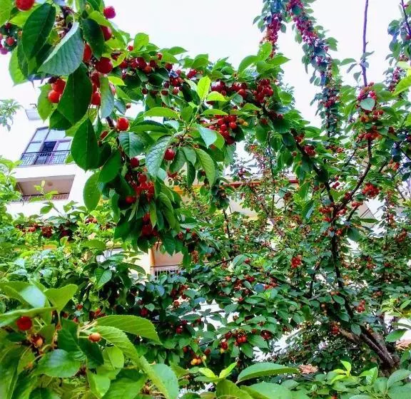 هتل Marina Cape Vacation Complex