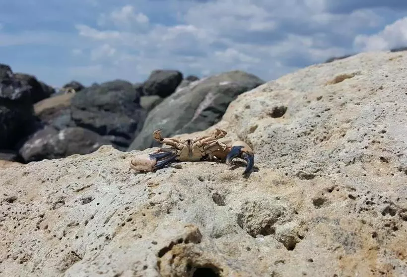 هتل Marina Cape Vacation Complex