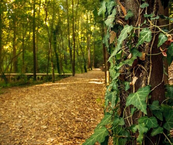 교외 호텔 Rural Vale Do Rio
