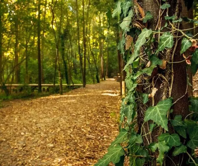 교외 호텔 Rural Vale Do Rio