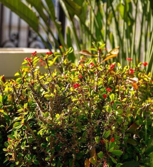 בית מלון כפרי Creta Elena