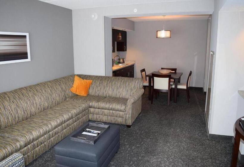 Отель Holiday Inn And Suites East Peoria, An Ihg