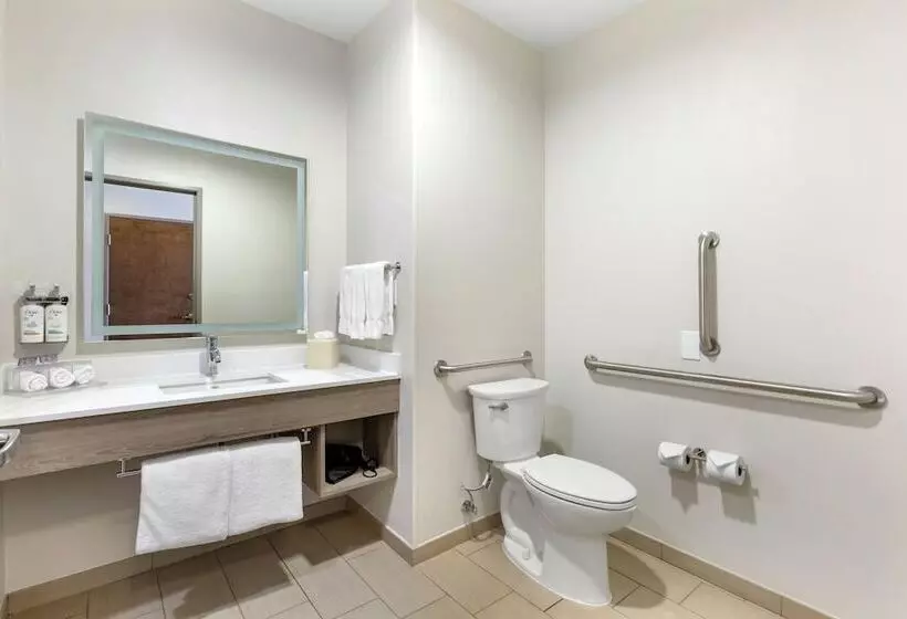 酒店 Holiday Inn Express Belgrade Bozeman Area, An Ihg