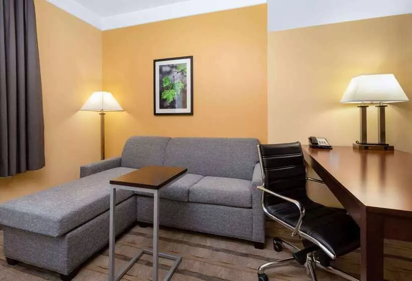 酒店 La Quinta By Wyndham Houston Nw Beltway8/westrd