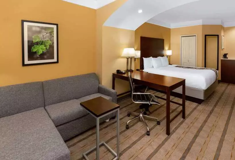 酒店 La Quinta By Wyndham Houston Nw Beltway8/westrd