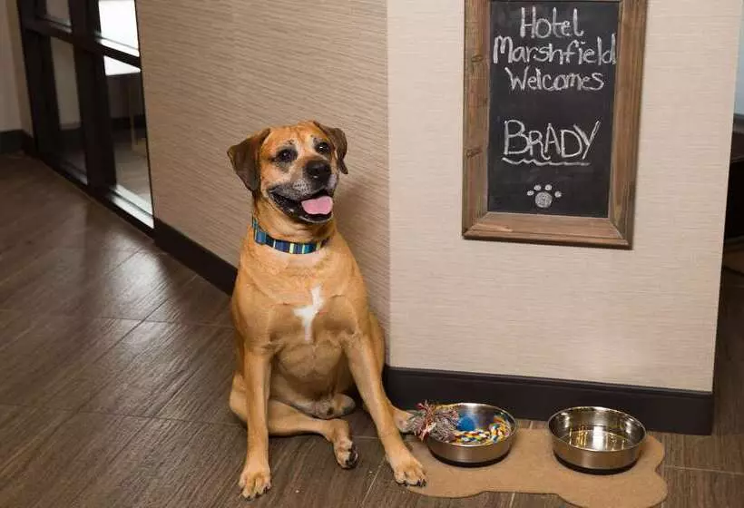 בית מלון כפרי Marshfield Bw Premier Collection