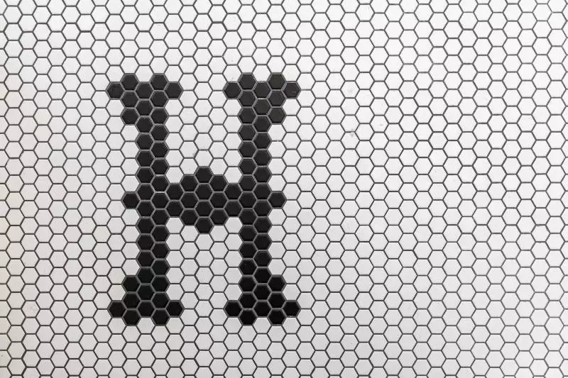 בית מלון כפרי The Holbrooke