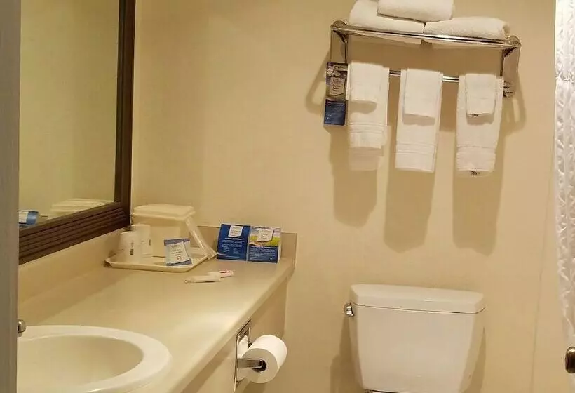 汽车旅馆 Andrews Motor Inn