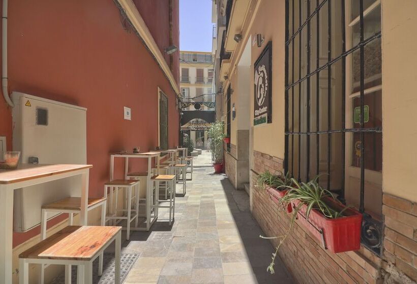 Feel Hostels City Center