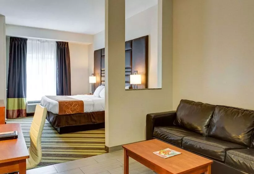 ホテル Comfort Suites Denham Springs
