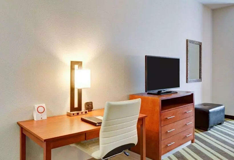 ホテル Comfort Suites Denham Springs