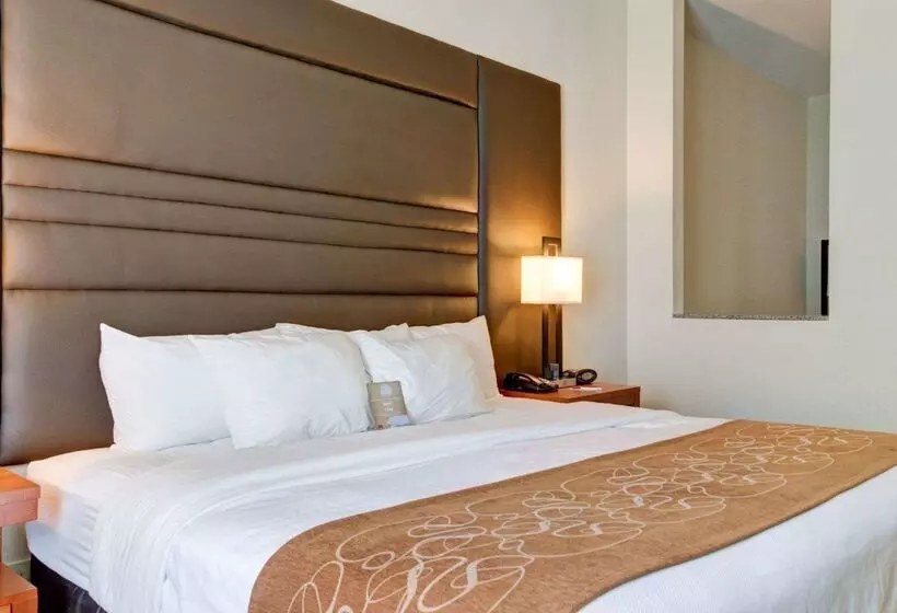 ホテル Comfort Suites Denham Springs
