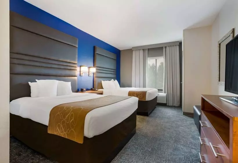 ホテル Comfort Suites Denham Springs