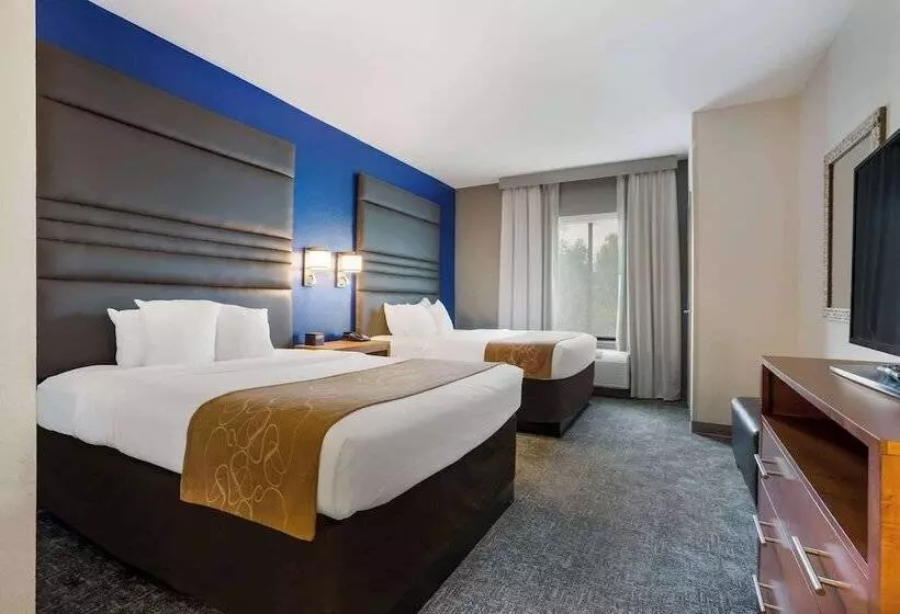 ホテル Comfort Suites Denham Springs