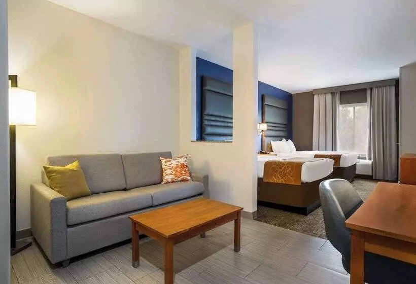 ホテル Comfort Suites Denham Springs