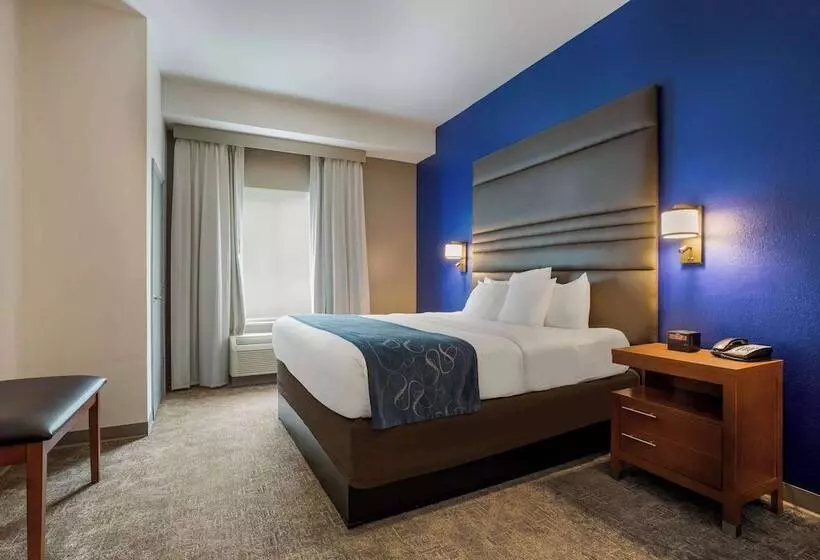 ホテル Comfort Suites Denham Springs