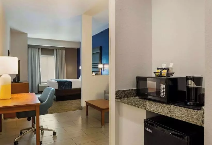 ホテル Comfort Suites Denham Springs