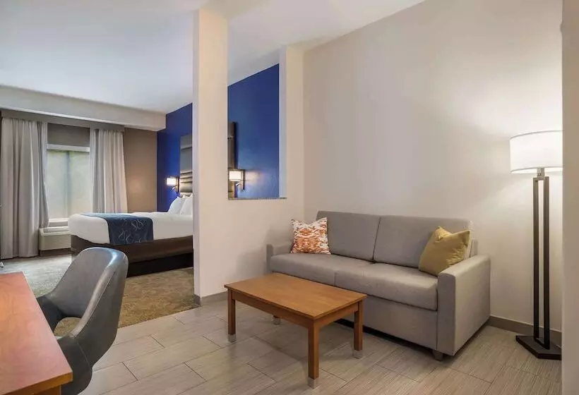 ホテル Comfort Suites Denham Springs