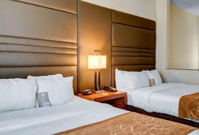 ホテル Comfort Suites Denham Springs