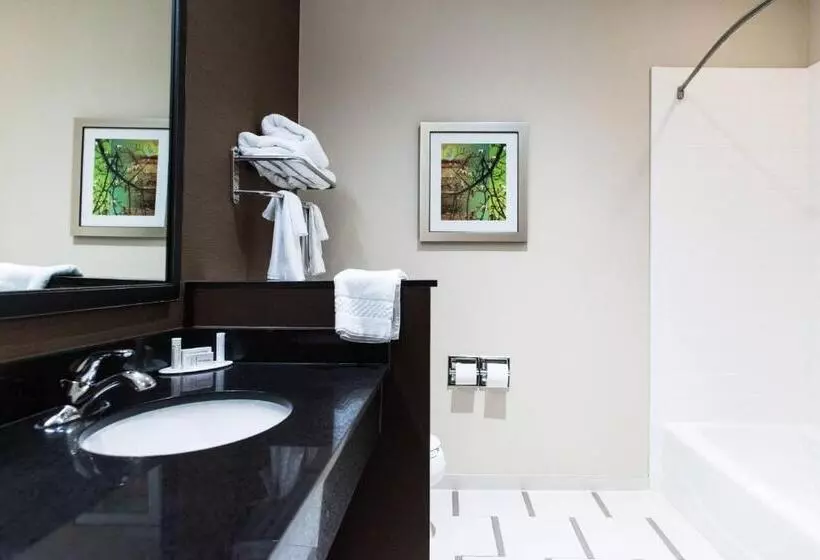 ホテル Fairfield Inn And Suites By Marriott Natchitoches