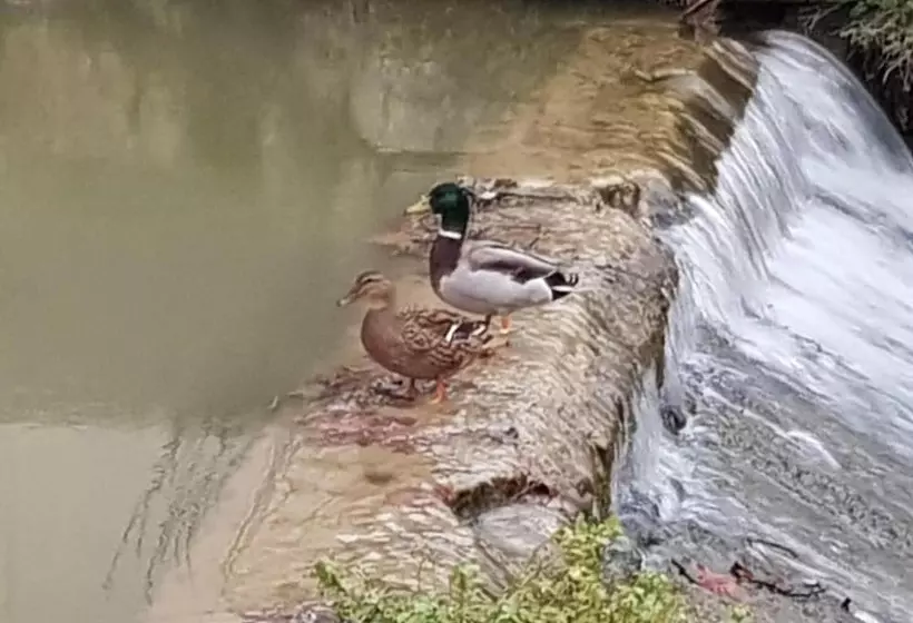 Hotel Ile Du Gua Suites