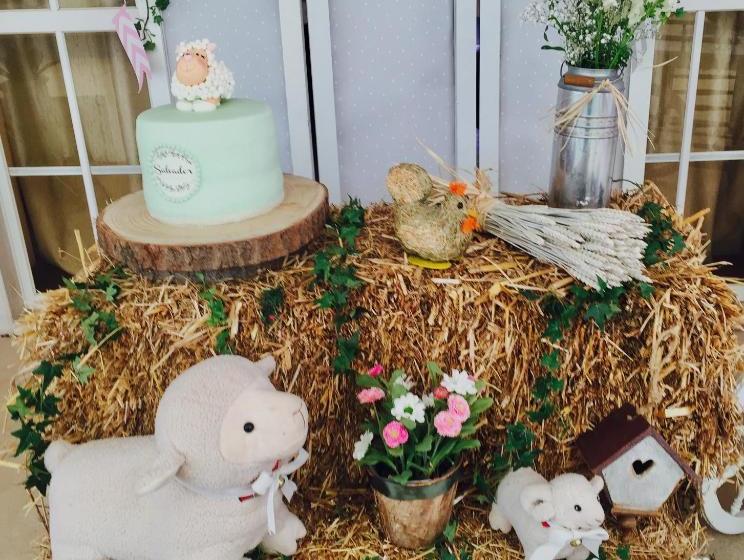 هتل روستایی Quinta De Santa Maria D Arruda