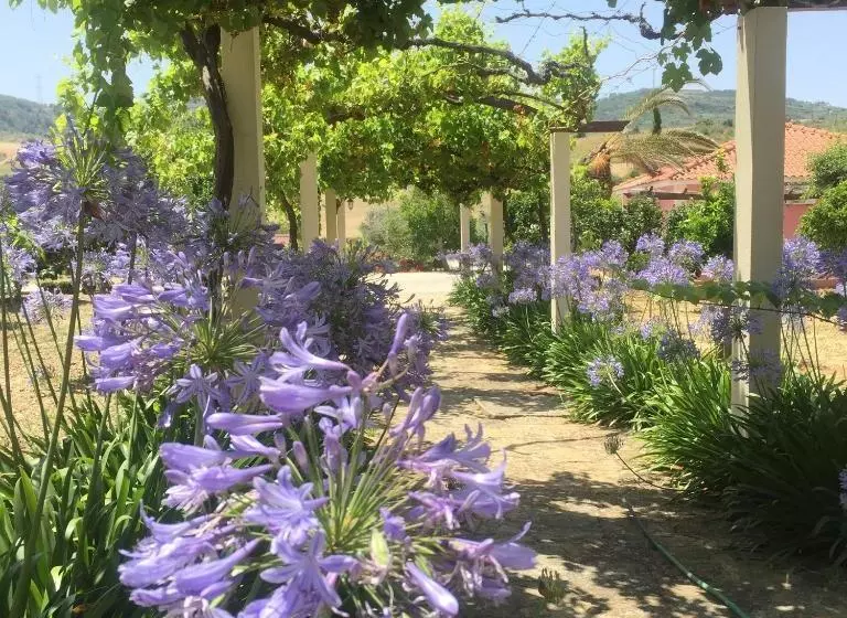 Сельский отель Quinta De Santa Maria D  Arruda