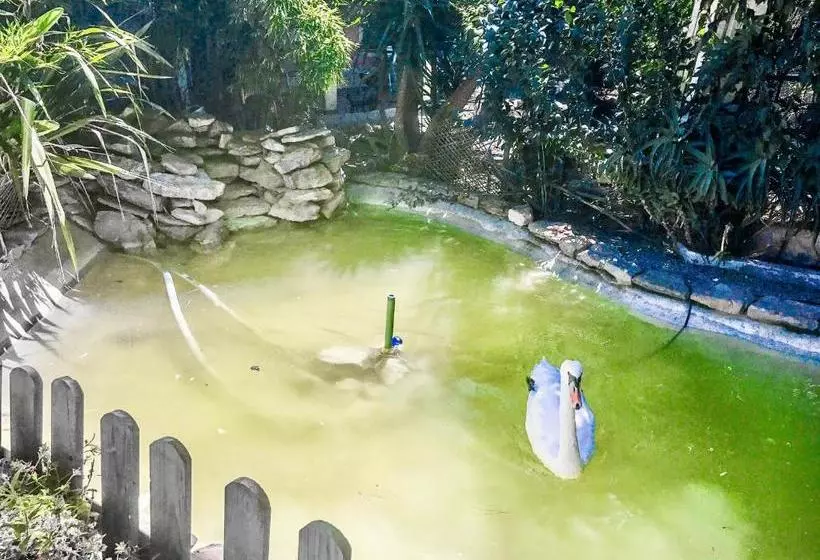 Сельский отель Quinta De Santa Maria D  Arruda