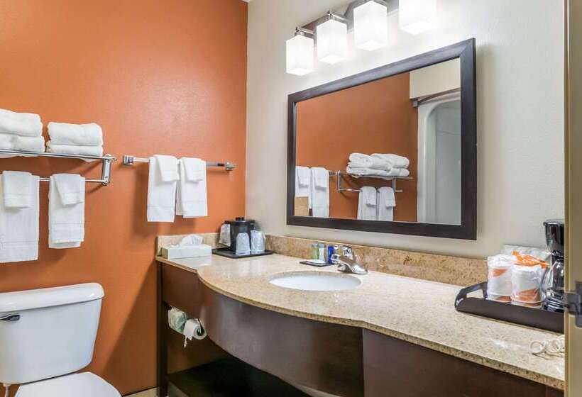 בית מלון כפרי Sleep Inn