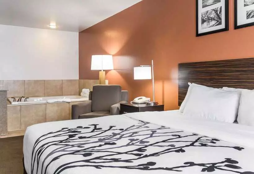 Отель Sleep Inn