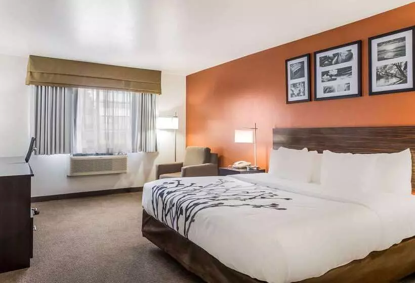 Отель Sleep Inn