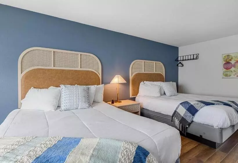 모텔 Seagull Beachfront Inn