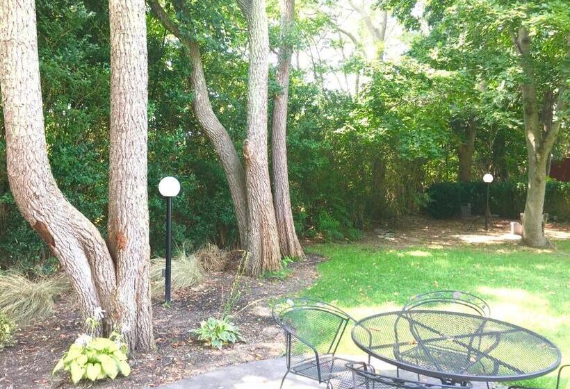 מוטל Shorewood Inn