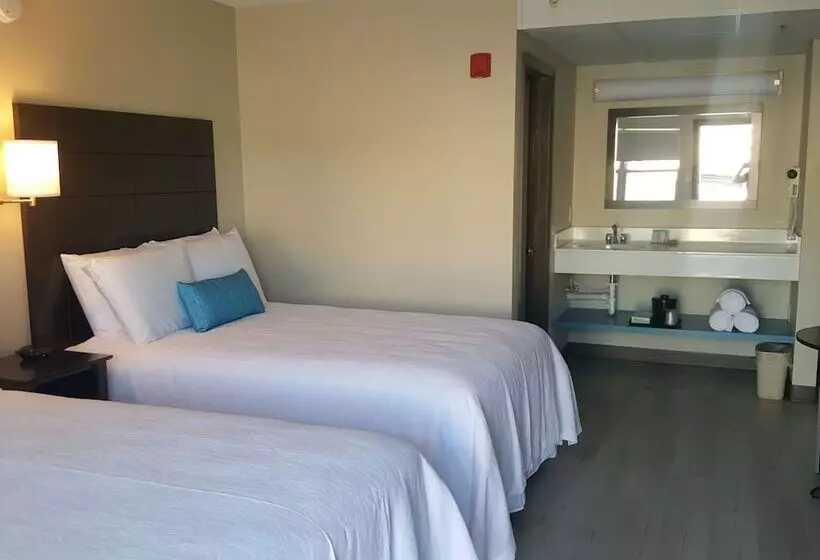 فندق على الطريق The Dunes Rehoboth Beach