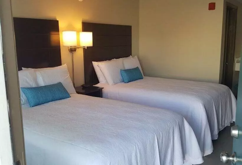 فندق على الطريق The Dunes Rehoboth Beach