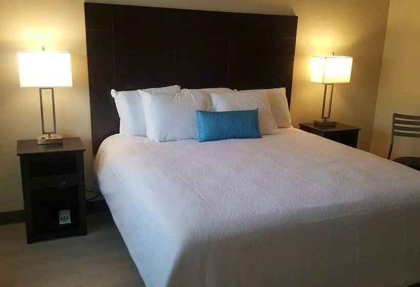 فندق على الطريق The Dunes Rehoboth Beach