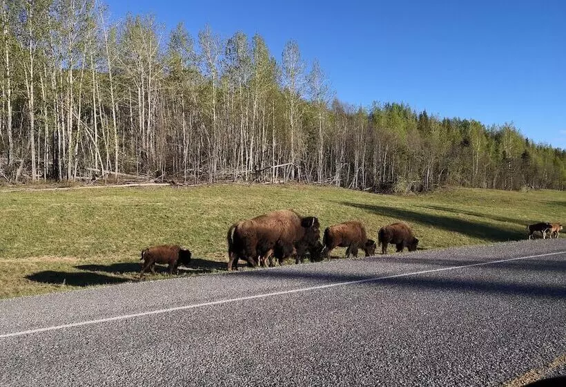 Cozy Corner Motel & Restaurant