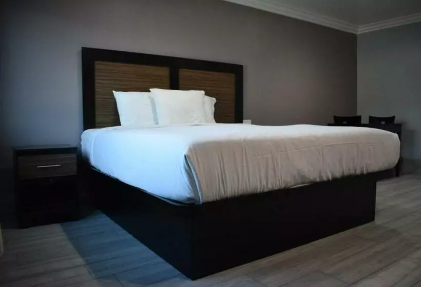 Hotelli Willow Tree Inn & Suites