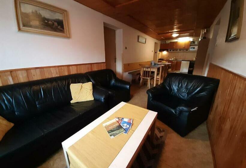 Пансион Ubytování 113