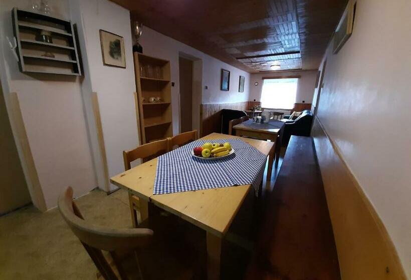 Пансион Ubytování 113