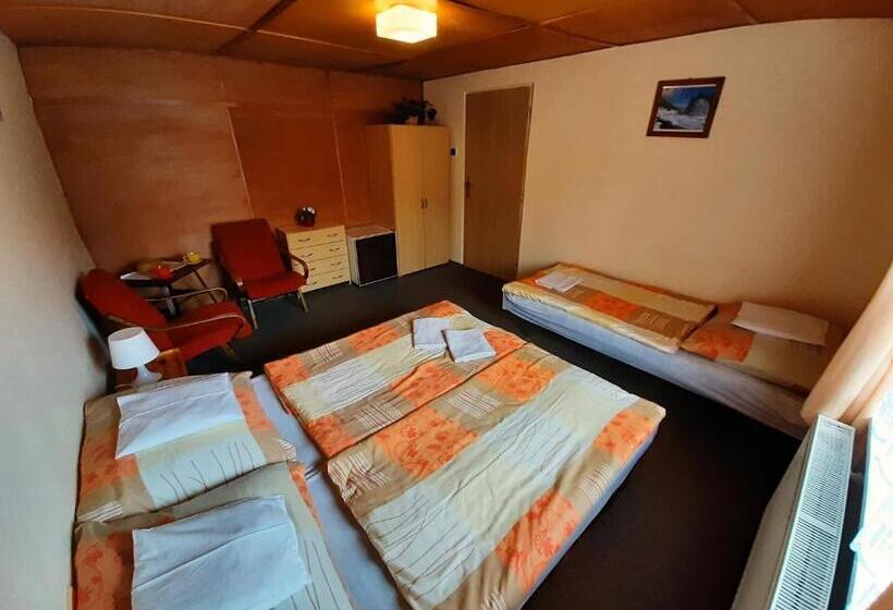 Пансион Ubytování 113