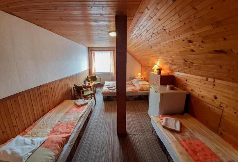 Пансион Ubytování 113