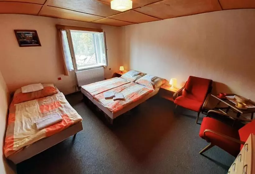 ペンション Ubytování 113