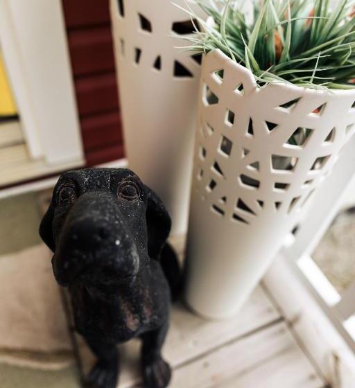 The New Brunswick Bed And Breakfast