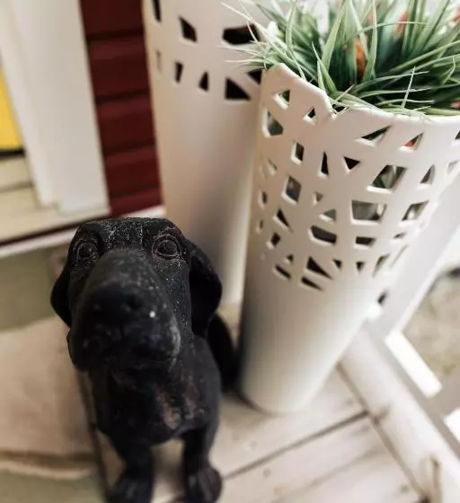 The New Brunswick Bed And Breakfast