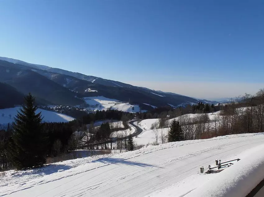 Alpenhof Hotel Semmering