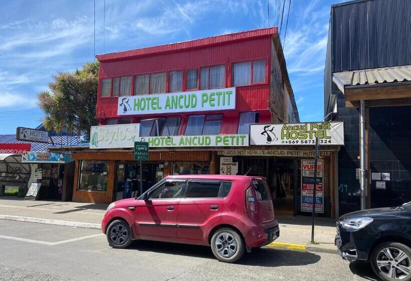 هتل Ancud Petit Hostal
