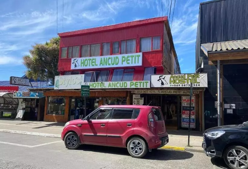 هتل Ancud Petit Hostal