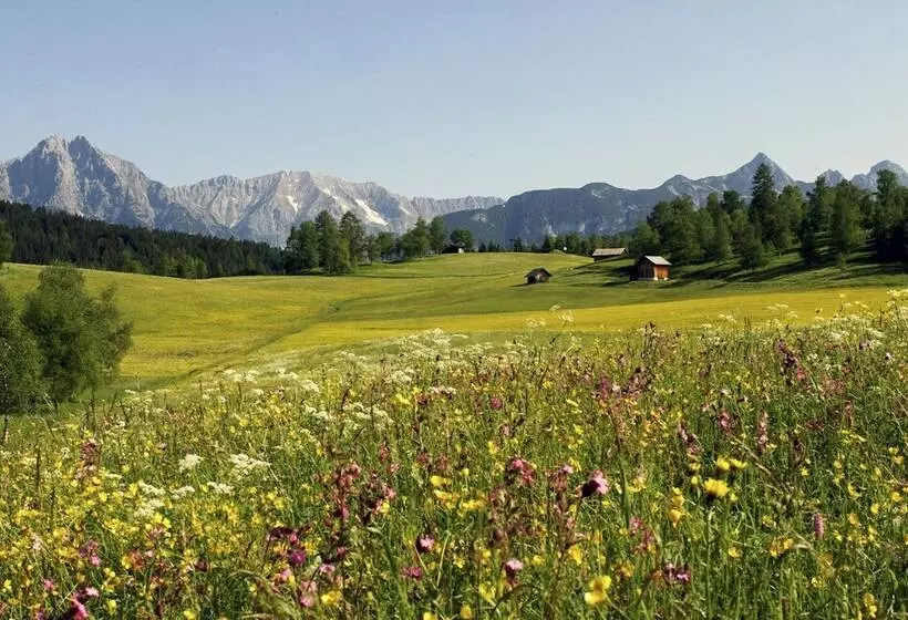 ホテル Frankenhof